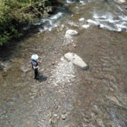 大井川(大井川(非)漁業協同組合) 釣果