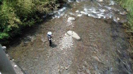 大井川（大井川(非)漁業協同組合） 釣果