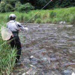 大井川(大井川(非)漁業協同組合) 釣果