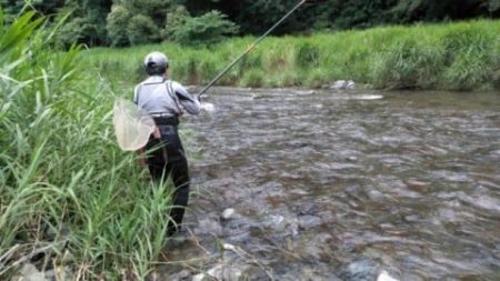 大井川(大井川(非)漁業協同組合) 釣果