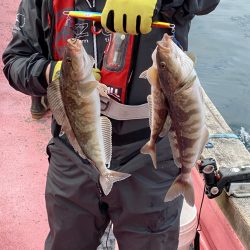 第八平成丸 釣果