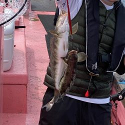 第八平成丸 釣果