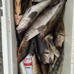 第八平成丸 釣果