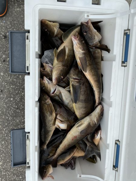 第八平成丸 釣果