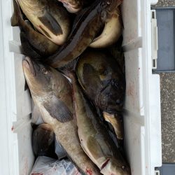 第八平成丸 釣果