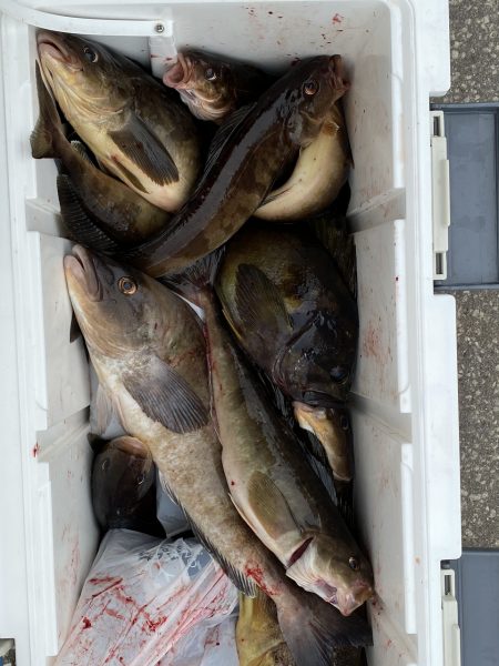 第八平成丸 釣果