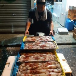 飛燕さくら丸 釣果