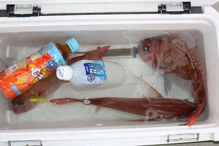 松本釣船２ 釣果