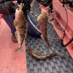 第八平成丸 釣果