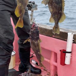 第八平成丸 釣果