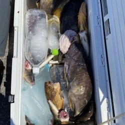 第八平成丸 釣果