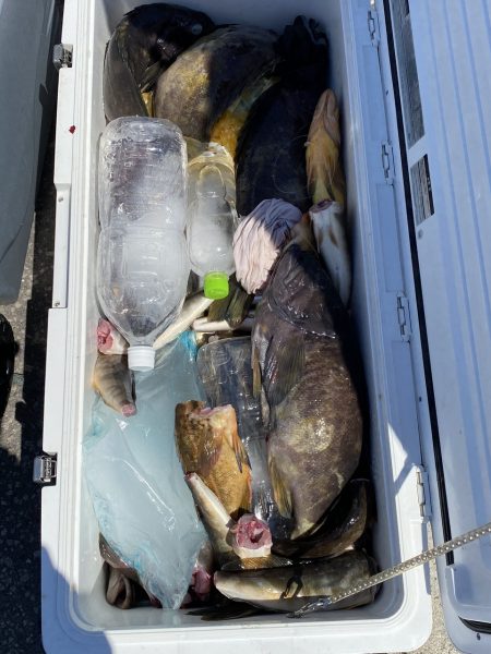 第八平成丸 釣果