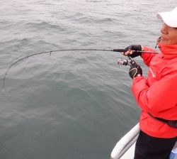 遊漁船 幸友丸 釣果