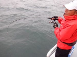 遊漁船 幸友丸 釣果