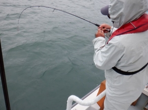 遊漁船 幸友丸 釣果