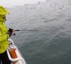 遊漁船 幸友丸 釣果