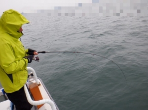 遊漁船 幸友丸 釣果