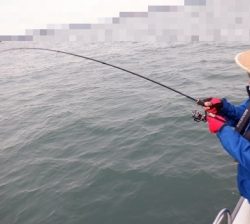 遊漁船 幸友丸 釣果