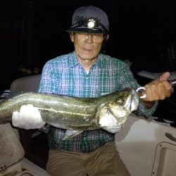 ルアー船マヒマヒ 釣果