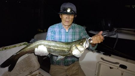 ルアー船マヒマヒ 釣果