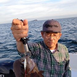 ルアー船マヒマヒ 釣果