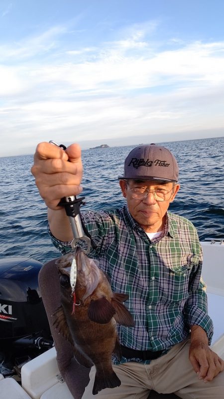 ルアー船マヒマヒ 釣果