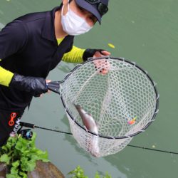 小菅トラウトガーデン 釣果