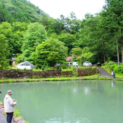 小菅トラウトガーデン 釣果