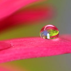 小菅トラウトガーデン 釣果