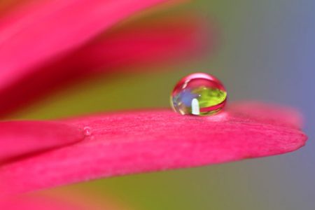 小菅トラウトガーデン 釣果