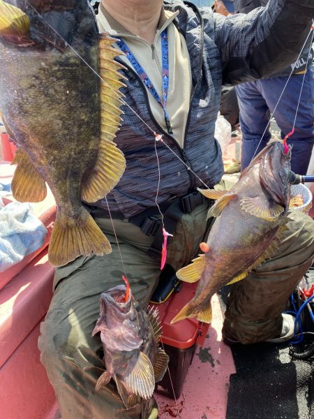 第八平成丸 釣果