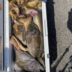 第八平成丸 釣果