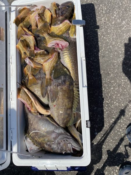 第八平成丸 釣果