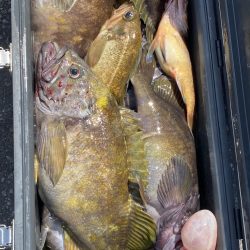 第八平成丸 釣果