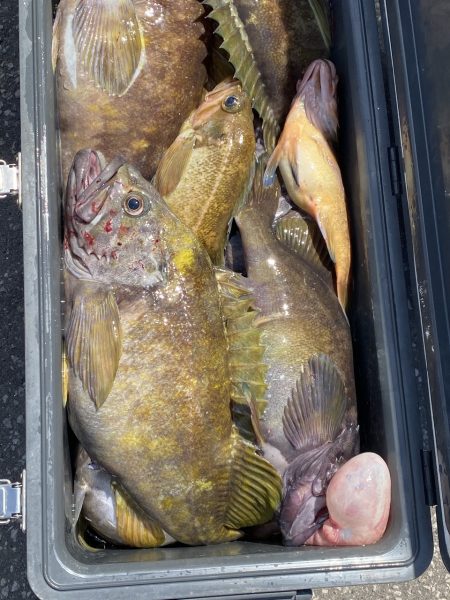 第八平成丸 釣果