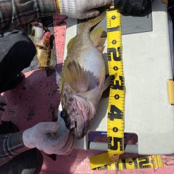 第八平成丸 釣果