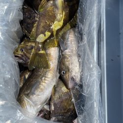 第八平成丸 釣果