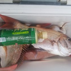 内浜丸 釣果