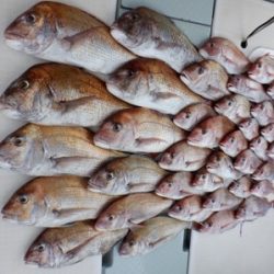 遊漁船 幸友丸 釣果