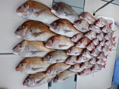 遊漁船 幸友丸 釣果