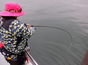 遊漁船 幸友丸 釣果