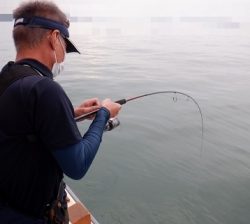 遊漁船 幸友丸 釣果