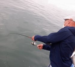 遊漁船 幸友丸 釣果