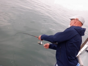 遊漁船 幸友丸 釣果