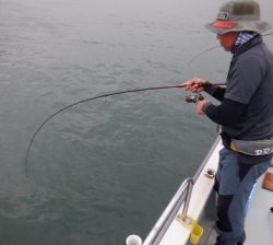 遊漁船 幸友丸 釣果