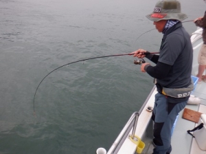 遊漁船 幸友丸 釣果