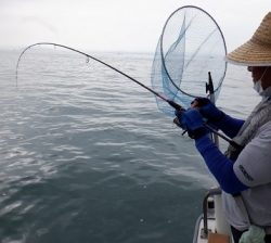 遊漁船 幸友丸 釣果