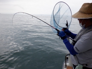 遊漁船 幸友丸 釣果