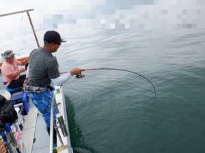 遊漁船 幸友丸 釣果