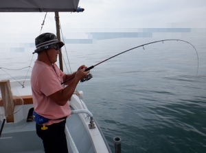 遊漁船 幸友丸 釣果